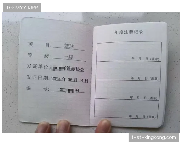 国际篮球联赛裁判评审制度公开征求意见，国际级篮球裁判
